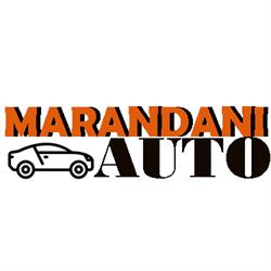 Marandani AUTO, Nanov program de funcționare