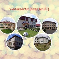 Scoala Gimnazială 'Mihai Eminescu', Bradu, Argeş, program de funcționare