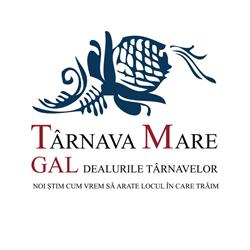 GAL Dealurile Tarnavelor, Saschiz program de funcționare