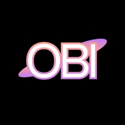 Obi Digital, Câmpulung Moldovenesc program de funcționare