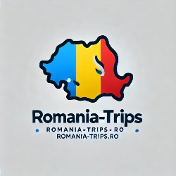 Transfer Aeroport Otopeni Drive Connect Solutions, program de funcționare