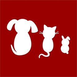 Clinica Veterinară Dr. Bunea, Sibiu program de funcționare