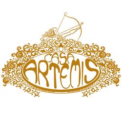 Casa Artemis, Brăila program de funcționare