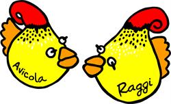 Avicola Raggi, Cârcea program de funcționare