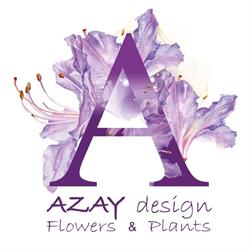 AZAY, Bucureşti program de funcționare