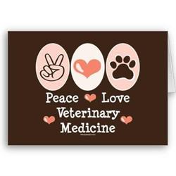 Clinica Oncologica Veterinara - Aesculapia, Bucureşti program de funcționare