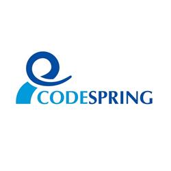 Codespring, Cluj-Napoca program de funcționare
