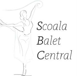 Scoala Balet Central, Râmnicu Vâlcea program de funcționare