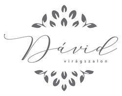 Dávid Virágszalon, Sfântu Gheorghe program de funcționare