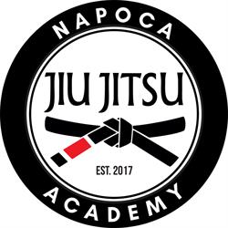 Napoca Jiu Jitsu Academy, program de funcționare