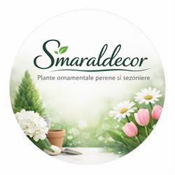 Smaraldecor, Braşov program de funcționare