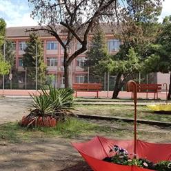 Şcoala Gimnazială nr. 13, Timişoara program de funcționare