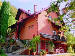 Vila Bica, Sovata program de funcționare