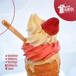 Bello-Kürtős House, Sovata program de funcționare