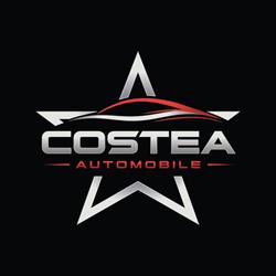 Costea Automobile, Arad program de funcționare