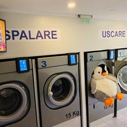 Laundry Clean & Cheap, Piatra-Neamţ program de funcționare