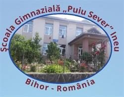 Şcoala Gimnazială Puiu Sever Ineu, program de funcționare