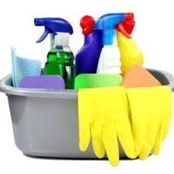SC Real Queen SRL, Timişoara program de funcționare