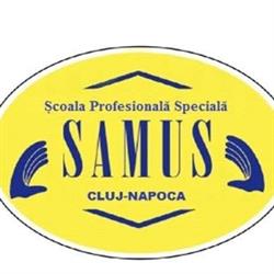 Şcoala Profesională Specială Samus, Cluj-Napoca program de funcționare