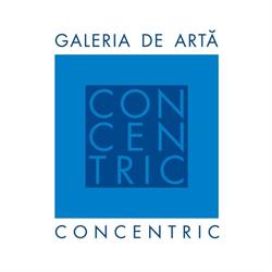 Galeriile de Arta, Bistriţa program de funcționare