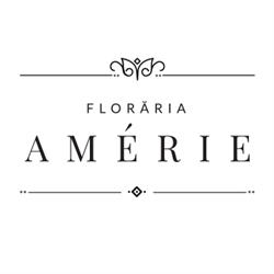 Floraria Amérie, Târgu Mureş program de funcționare