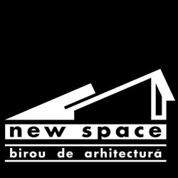 New Space, Roman program de funcționare