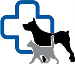 Cabinet veterinar - AllVet - Focşani, program de funcționare