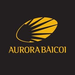 Stadionul de rugby Aurora Baicoi, program de funcționare