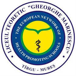 Liceul Teoretic "Gheorghe Marinescu", Târgu Mureş program de funcționare