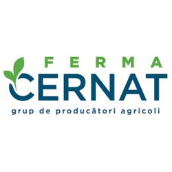 Csernátoni Farm, Cernat program de funcționare