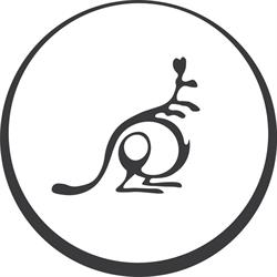 MACROPUS S.R.L., Timişoara program de funcționare