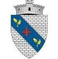 Primăria comunei Botoşana, program de funcționare