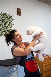 Frizerie Canina V&M, Medgidia program de funcționare