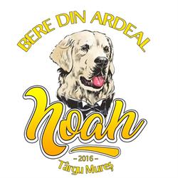 BERE NOAH, Fabrica program de funcționare