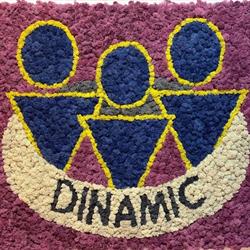 SC Dinamic SRL, Baia Mare program de funcționare