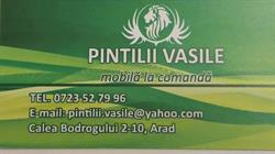 Mobel Har Prod Design, Arad program de funcționare