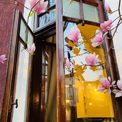 Amore, Bucureşti program de funcționare