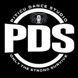 Piticu Dance Studio, Bucureşti program de funcționare