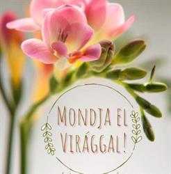 Mesés Virágbolt, Odorheiu Secuiesc program de funcționare