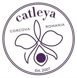 Domeniu Catleya - crama, Corcova program de funcționare