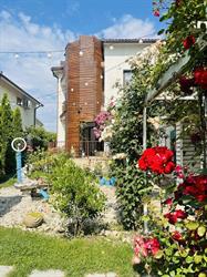 Vila Viorica, Mamaia program de funcționare