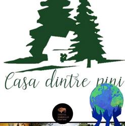 Casa dintre Pini, Agapia program de funcționare