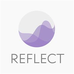 Reflect Therapy, Cluj-Napoca program de funcționare