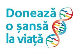 Registrul National al Donatorilor Voluntari de Celule Stem Hematopoietice, Bucureşti program de funcționare