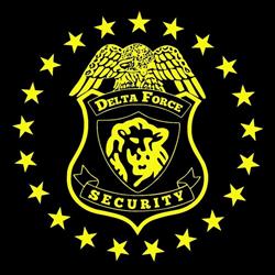 Delta Force Security, Bucureşti program de funcționare