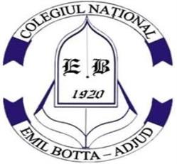 Colegiul Naţional Emil Botta, Adjud program de funcționare