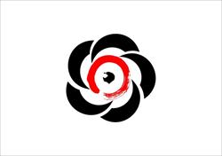 Fundatia Romana de Aikido Aikikai, Cluj-Napoca program de funcționare