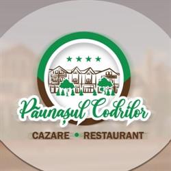 Vila Păunaşul Codrilor, Câmpulung Moldovenesc program de funcționare