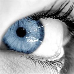 DORO IRIS - Ghencea - Optica medicala, Bucureşti program de funcționare