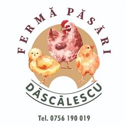 Ferma Bon'Das (Ferma Dascalescu), Bucecea program de funcționare